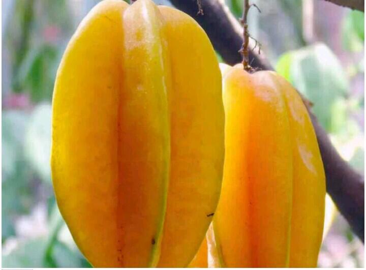 Sebagian kecil Tempat Indah di Kota Bersejarah "BLITAR"