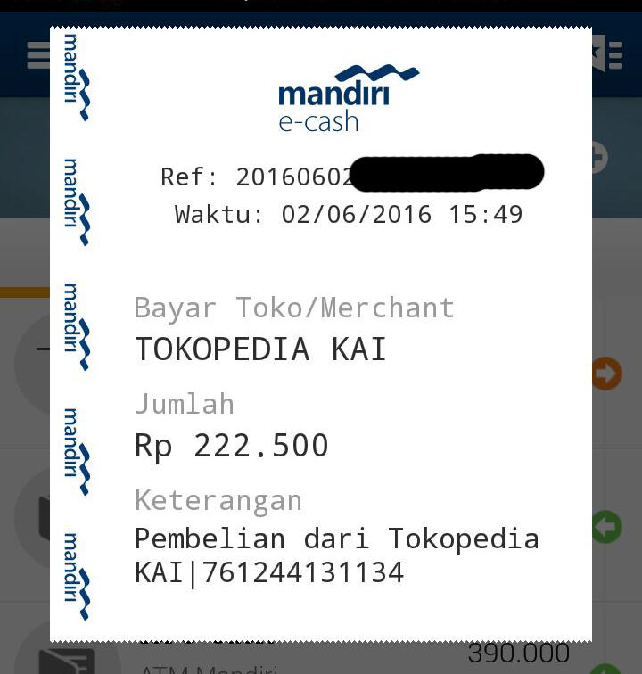 Mau Beli Tiket Buat Mudik ? Pertimbangkan Yang Satu Ini Gan !