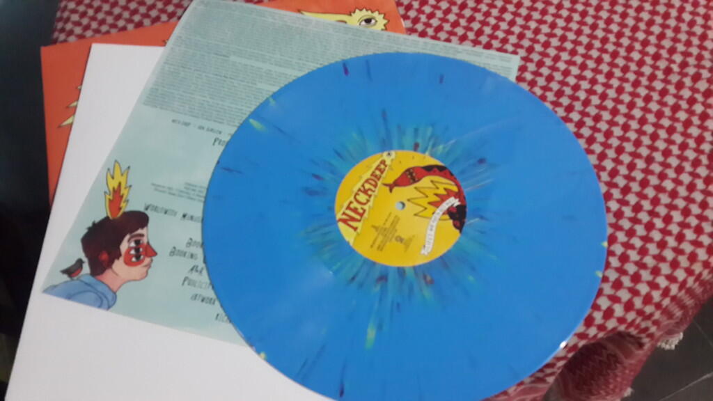 Ini Dia Vinyl Band Paling Langka di Dunia!