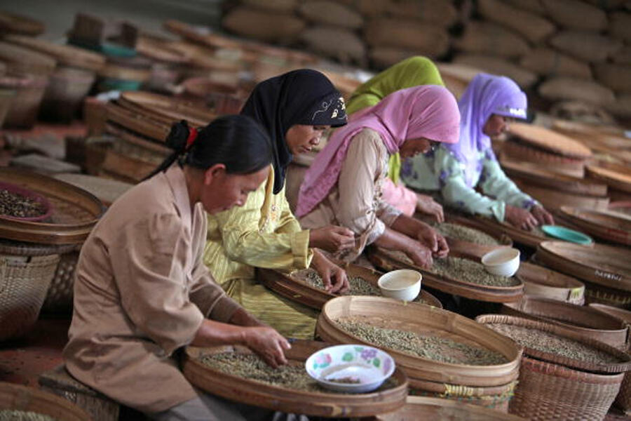 Indonesia Rayakan Hari Kacang Sedunia