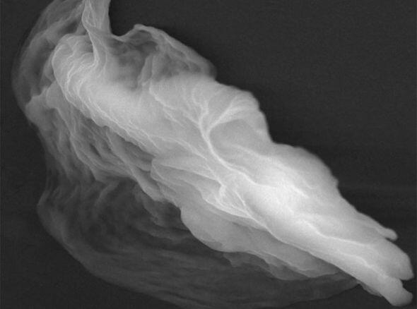 Astrobiologis Temukan "Partikel Hantu" : Apakah ini Bukti Dari Adanya Alien ?