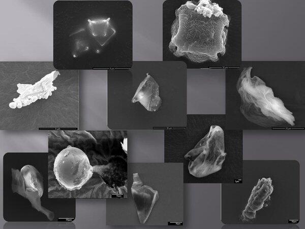 Astrobiologis Temukan "Partikel Hantu" : Apakah ini Bukti Dari Adanya Alien ?