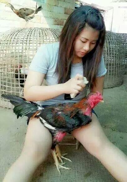 Konspirasi PAHA MULUS