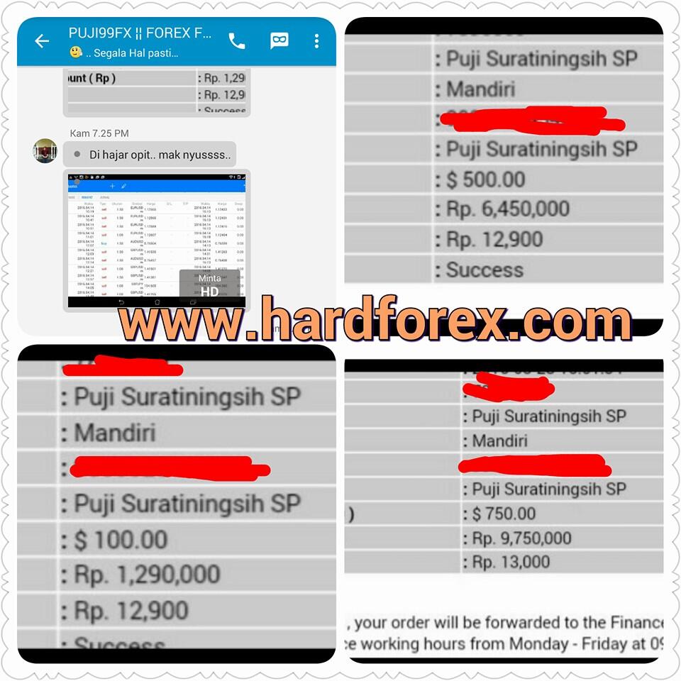Modal dengkul trading forex
