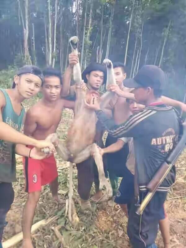 5 Orang Bodoh Ini siksa Hewan langka gan! (Miris!)