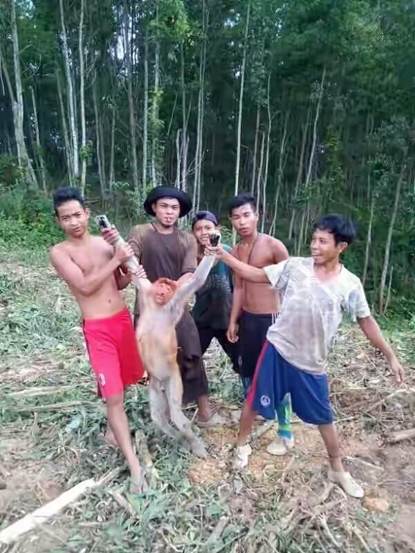 5 Orang Bodoh Ini siksa Hewan langka gan! (Miris!)