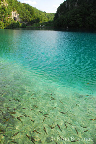 Danau Plitvice, Mutiara Tersembunyi di Kroasia