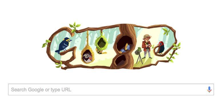 Siapa Phoebe Snetsinger yang Jadi Google Doodle Hari Ini?