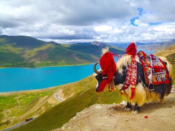 Keindahan Danau Angsa ( Lake of Swan )