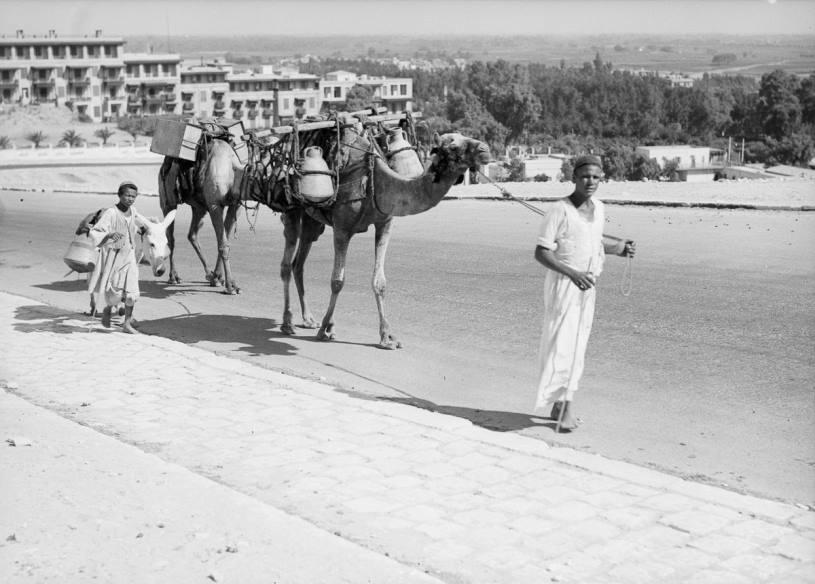 Kota Kuno Kairo yang perjalanannya tersirat dalam photo tua tahun 1900-1936