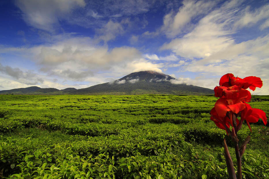 DAERAH TUJUAN WISATA PROVINSI JAMBI