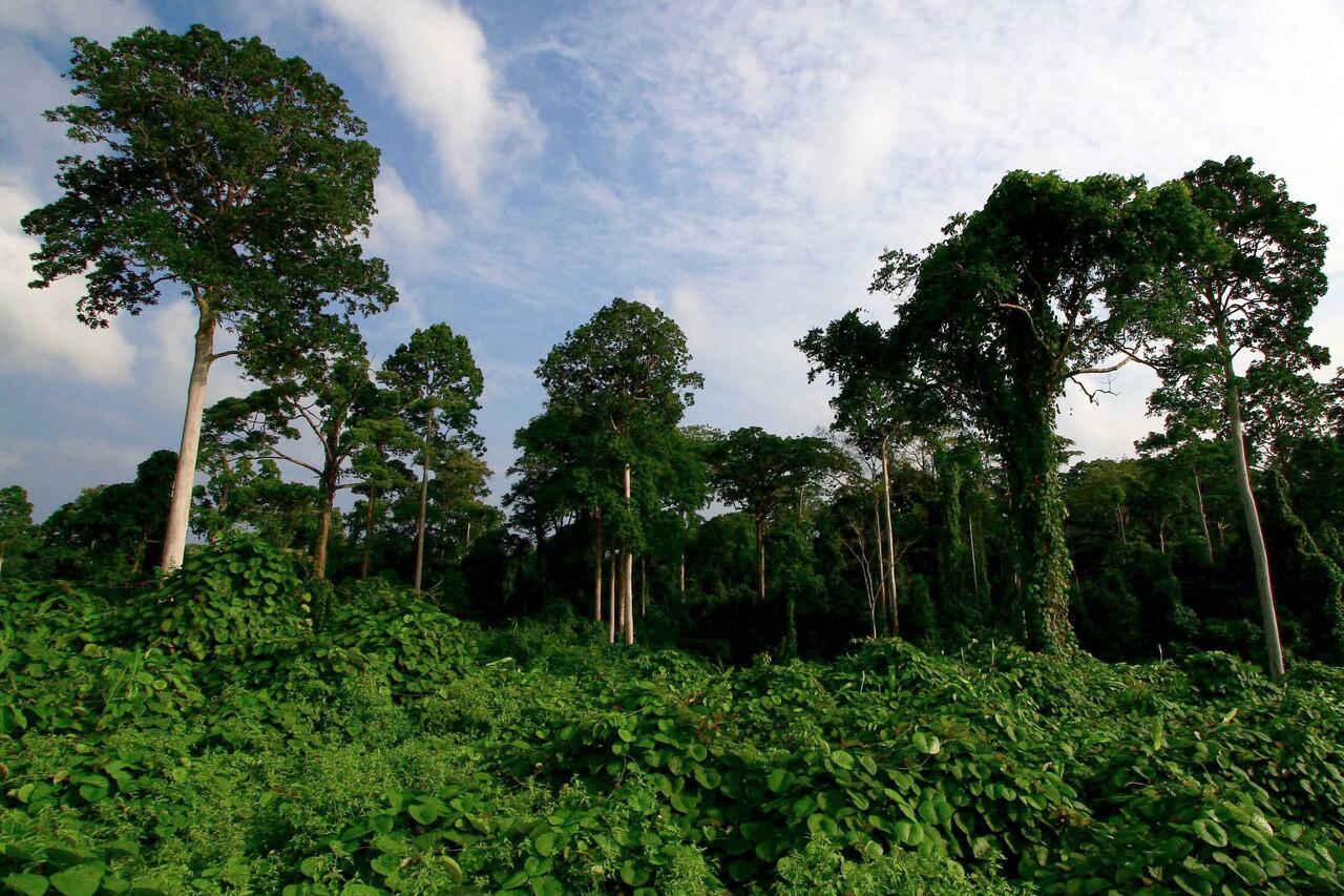DAERAH TUJUAN WISATA PROVINSI JAMBI