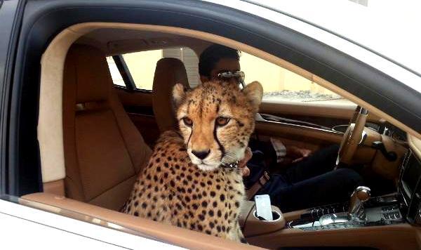 20 Fakta Menakjubkan Tentang Dubai Yang Perlu Kamu Ketahui