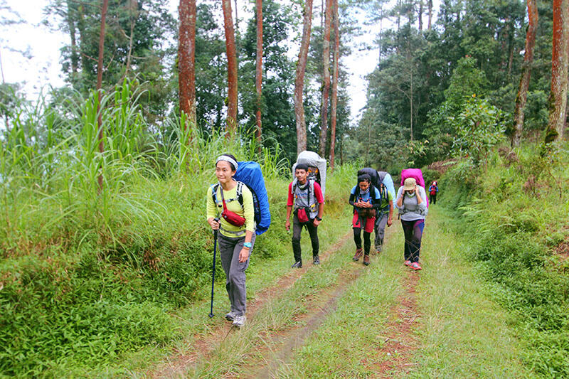 Merbabu via Pogalan