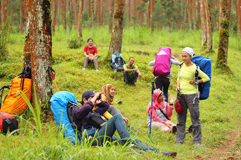 Merbabu via Pogalan