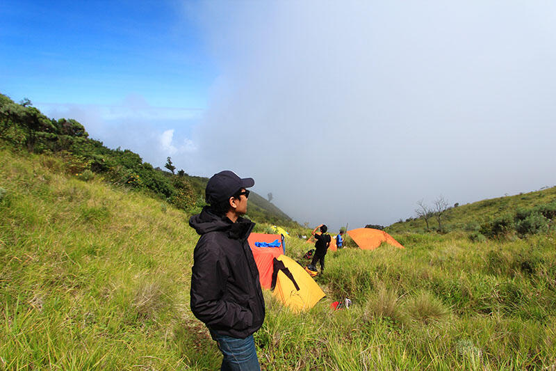 Merbabu via Pogalan