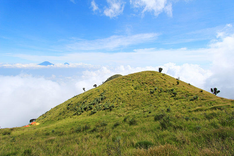 Merbabu via Pogalan