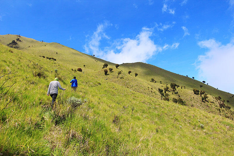 Merbabu via Pogalan