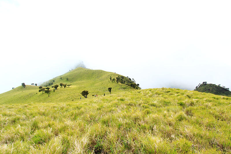 Merbabu via Pogalan