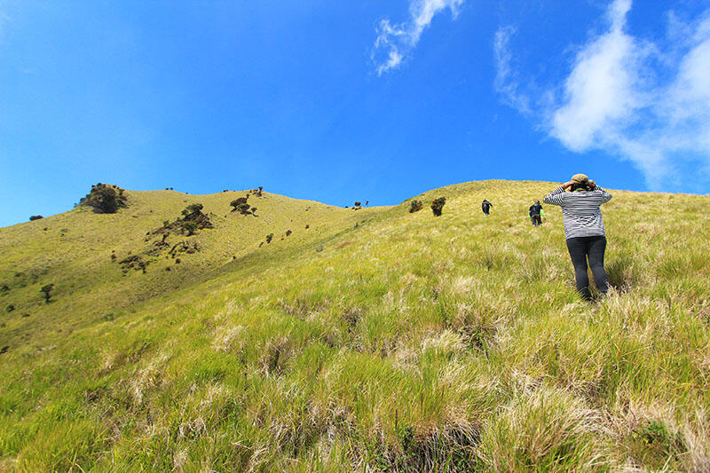 Merbabu via Pogalan