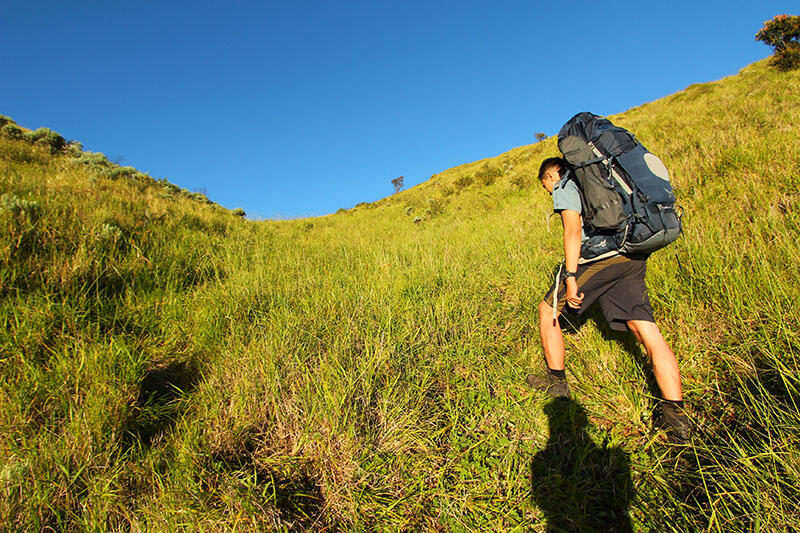 Merbabu via Pogalan