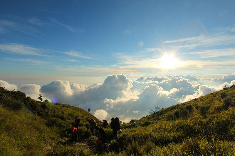 Merbabu via Pogalan