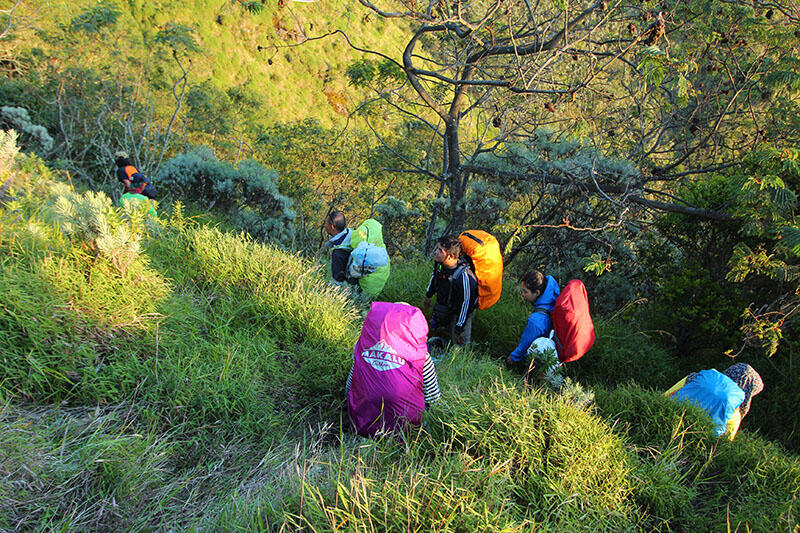 Merbabu via Pogalan