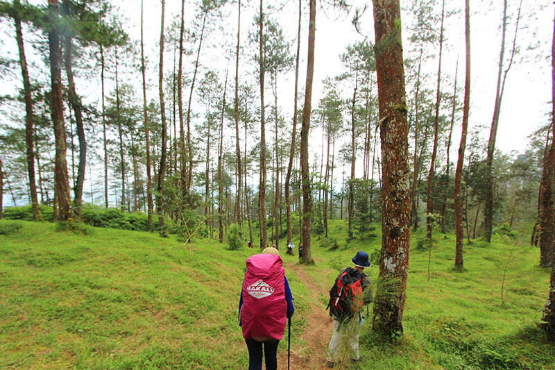 Merbabu via Pogalan