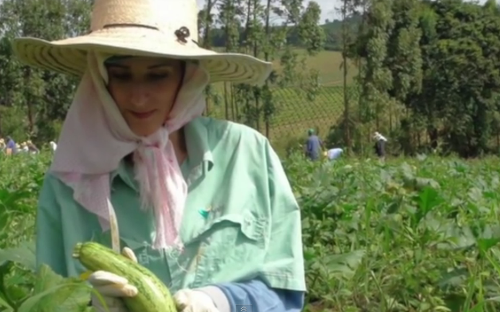 inilah desa dengan penduduk wanita cantik
