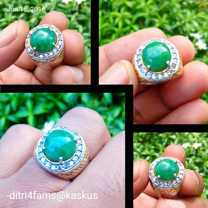 Lelang #8 Bacan Gulao dan Junder singkat aja
