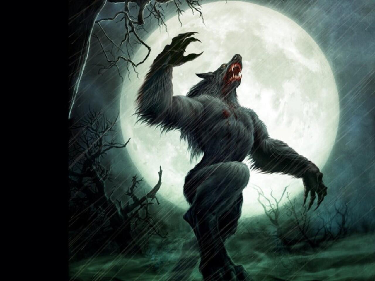 Werewolf Via Social Media