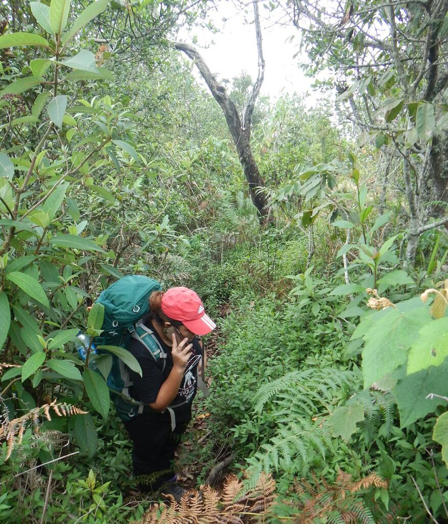 NIKMATNYA 'MENYEPI' DI GUNUNG KENDANG 2641 MDPL 