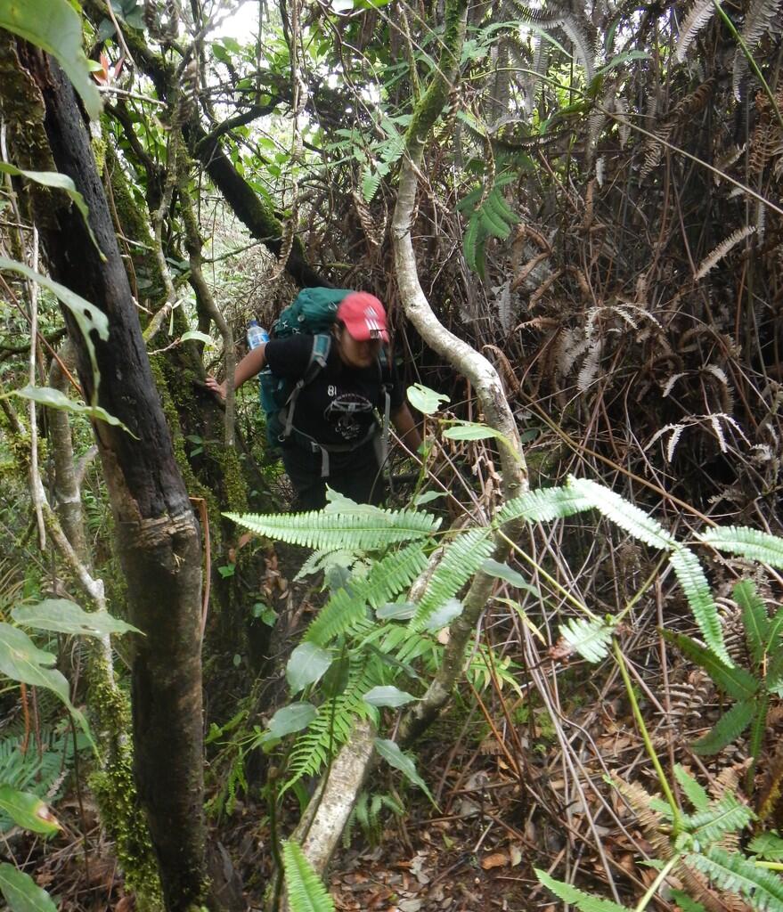 NIKMATNYA 'MENYEPI' DI GUNUNG KENDANG 2641 MDPL 