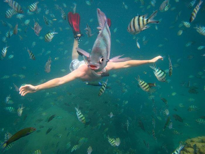 8 Foto ini bisa bikin ente ketagihan buat ngeliatnya lagi gan!