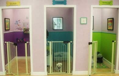 4 Usaha Rintisan untuk Anak Muda yang Ingin jadi Pengusaha Sukses