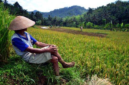 10 Alasan Anda Harus Bangga Menjadi Urang Majalengka