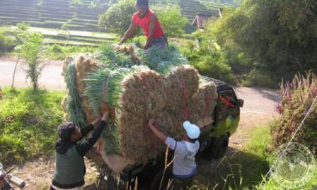 10 Alasan Anda Harus Bangga Menjadi Urang Majalengka