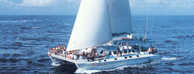BALI Cruises, Bounty,Quicksilver,Bali Hai,dll.