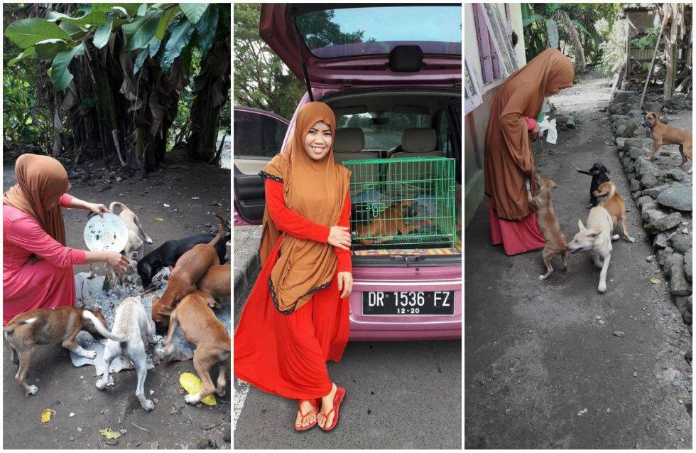 Tatkala perempuan berjilbab memberi makan anjing liar