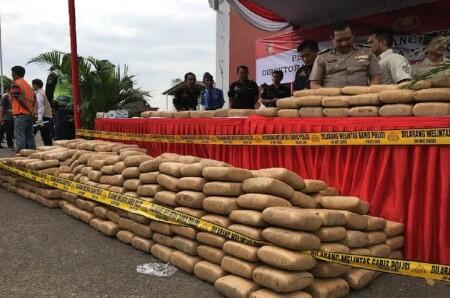 Ratusan Ganja dari Aceh Dimusnahkan di Tangerang