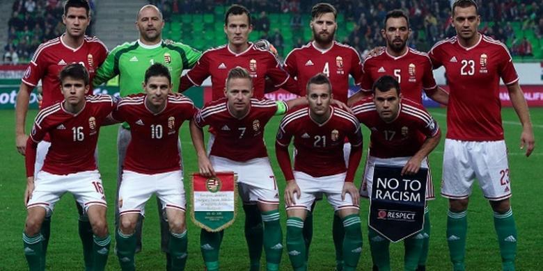 Siapa-siapa Sajakah Tim Kuda Hitam di EURO Cup 2016 Tahun Ini.?