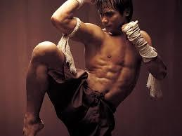 Best Asian Action Star (+PIC)