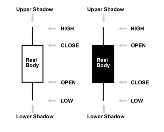 Kamus CandleStick