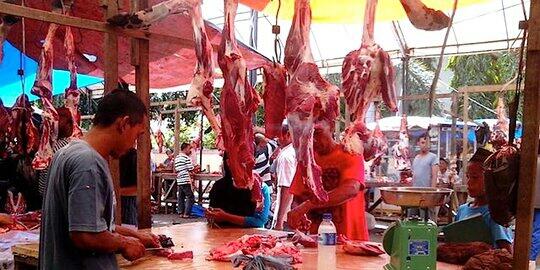 Puja puji Pemerintah Jokowi agar daging sapi beku impor disukai