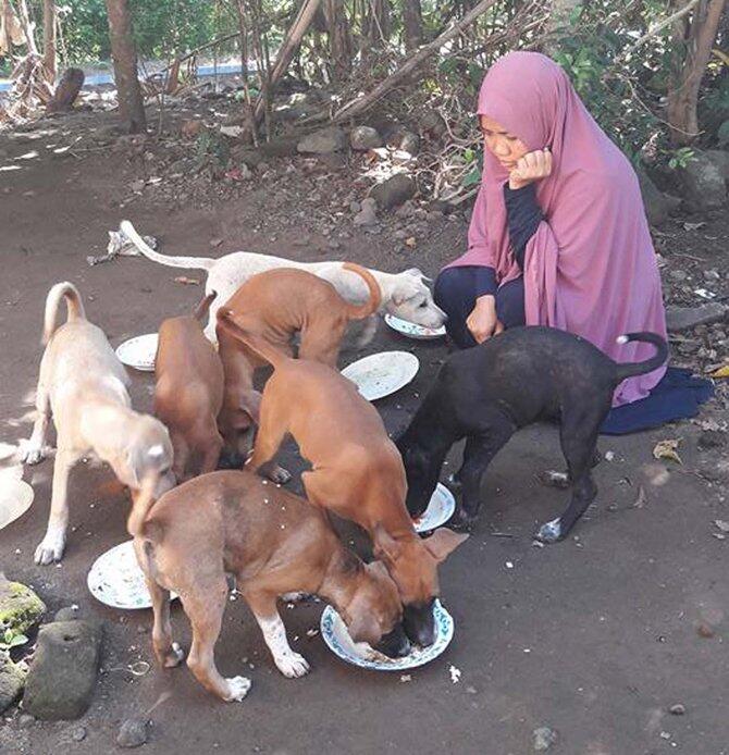 Soal Desy, MUI: Memberi Makan Anjing Tak Apa, Tapi Jangan Dirawat Khawatir Najisnya