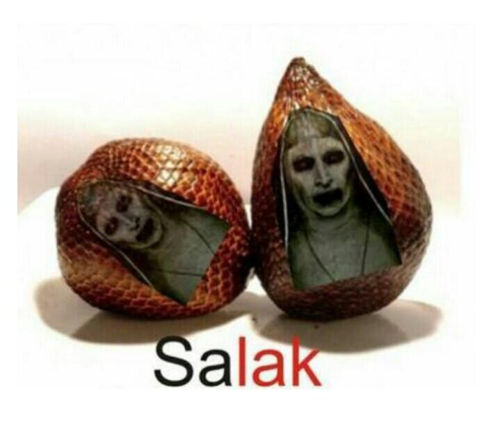 Tipe cewek ideal idaman kaum adam