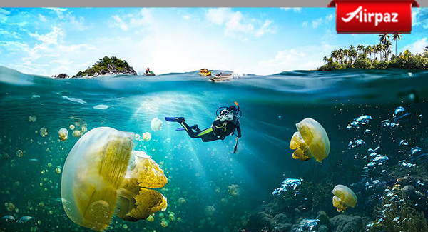 Ini Pulau Tercantik yang Wajib di Kunjungi di Kepulauan Derawan