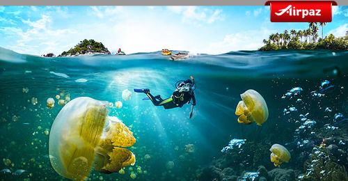 Ini Pulau Tercantik yang Wajib di Kunjungi di Kepulauan Derawan