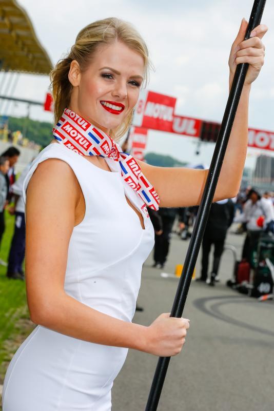 Paddock Girl MotoGP 2016 GP Assen Belanda