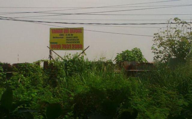 Besok, Ahok Copot Kepala Dinas Perumahan DKI